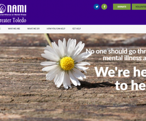 Welcoming New Non Profit Website Design Clients From Toledo